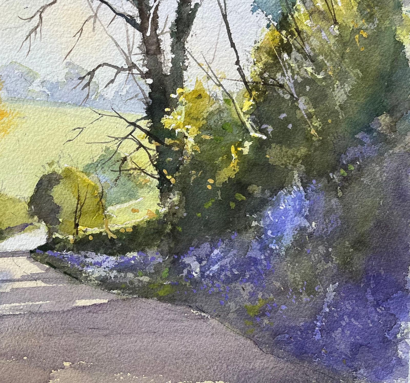 Anthony Avery British Impressionist Watercolor Of A Country Lane With Spring Bluebells photo Art
