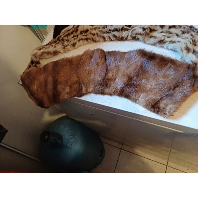 Lot Of Furs La Belle Fourure Limoges photo vinterior
