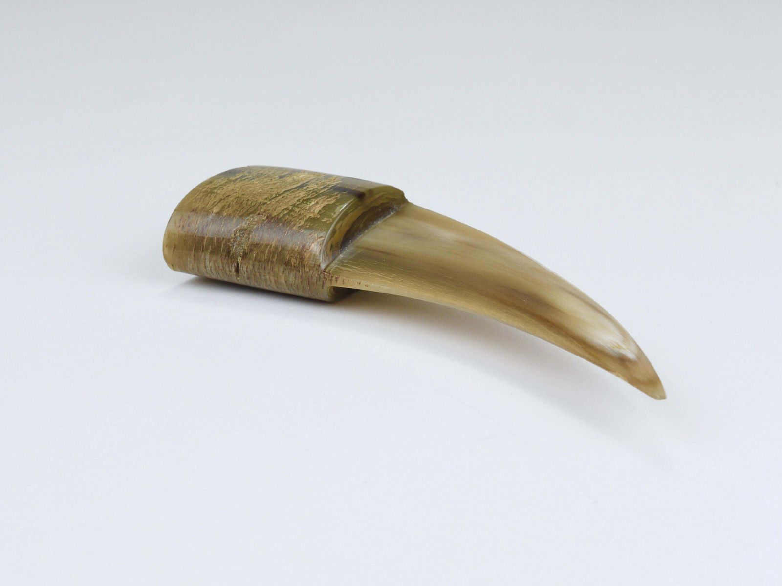 Carl Aubock Horn Letter Opener, Paper Knife, Vienna, Austria, 1960s photo buy