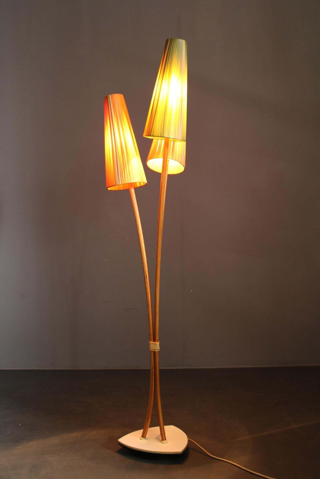 Lighting Mid Century Modern Floor Lamp By Pgh Leuchtenbau, East Germany, 1960s photo