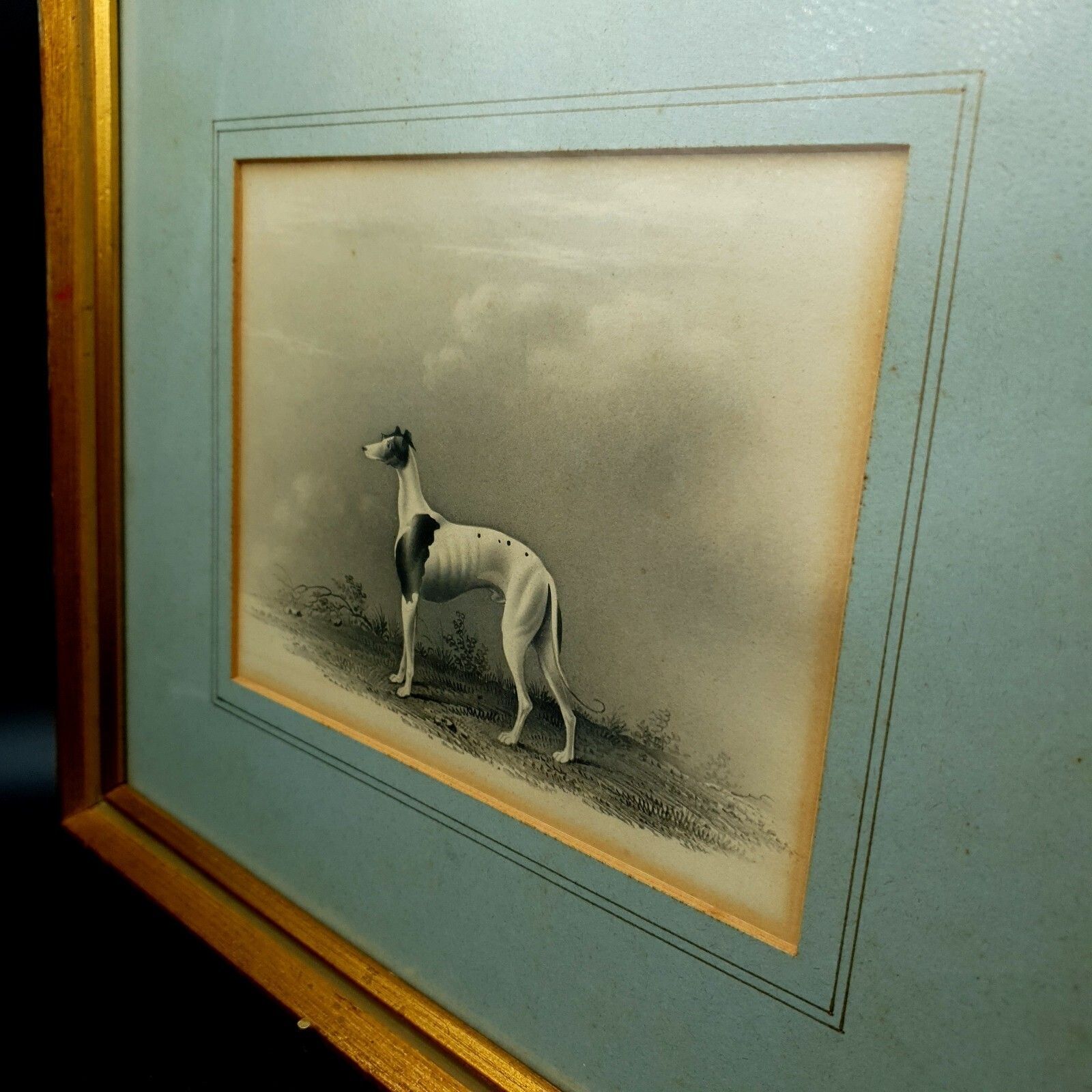 photo vintage Early 19thc Original Greyhound Drawing On Card C1800–1830 British Sporting Art