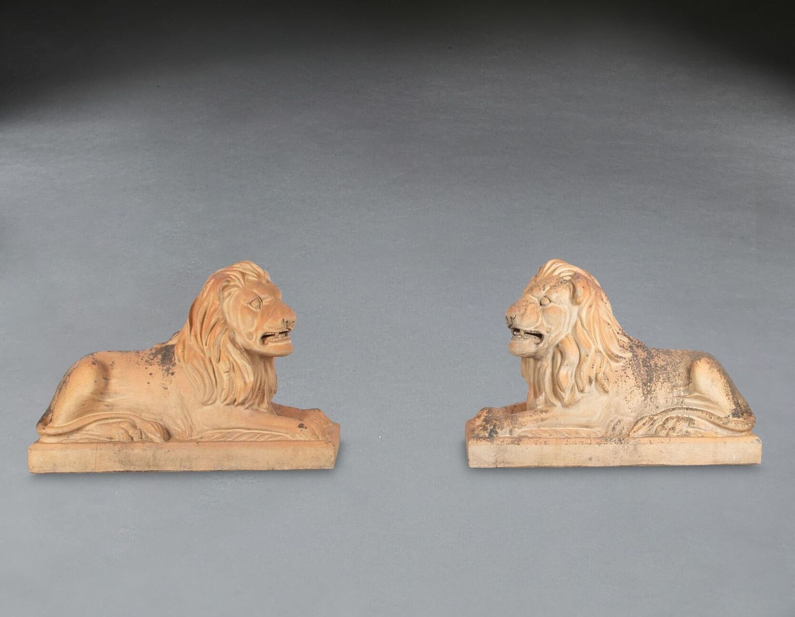 Large Pair Of 19th Century Terracotta Lions photo 1000.0