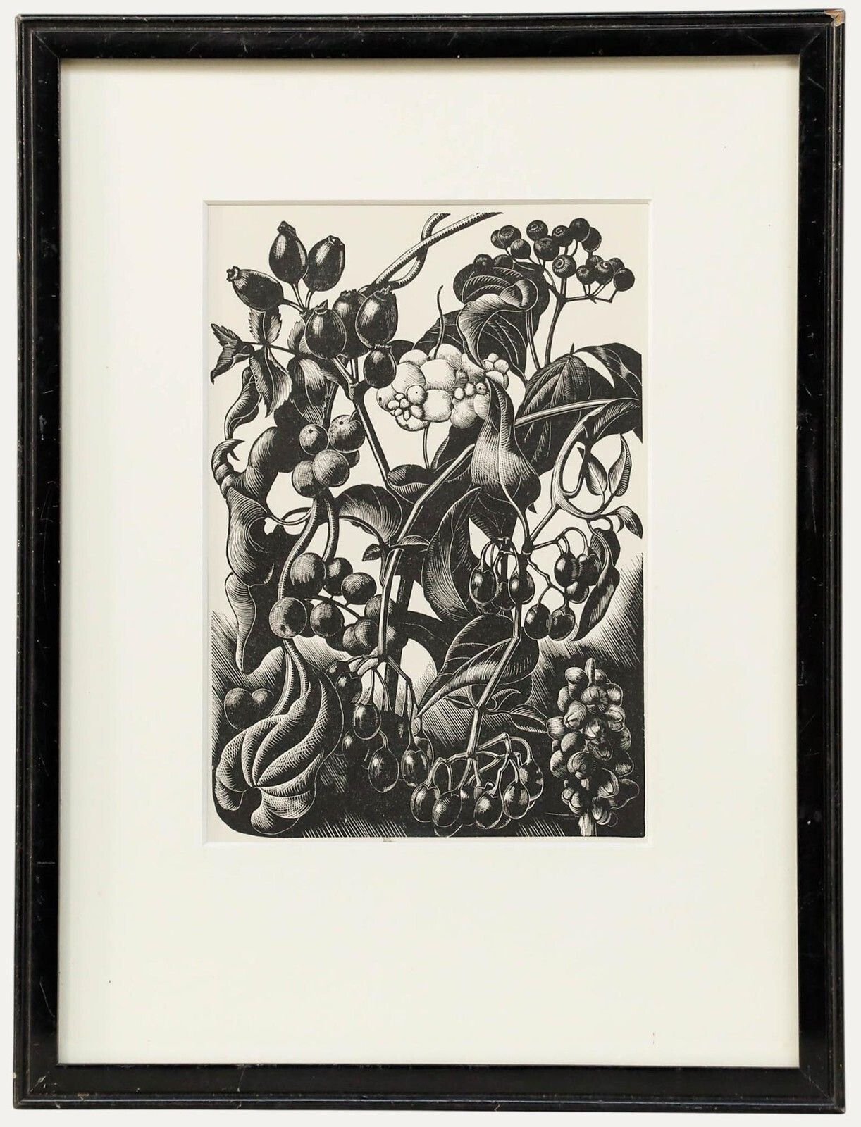 Clare Leighton (1898 1989) Mid 20th Century Woodcut, Berries