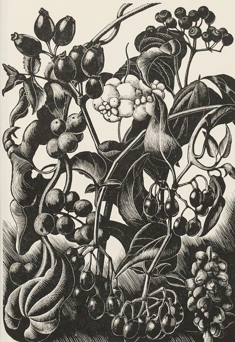 Clare Leighton (1898 1989) Mid 20th Century Woodcut, Berries photo furniture