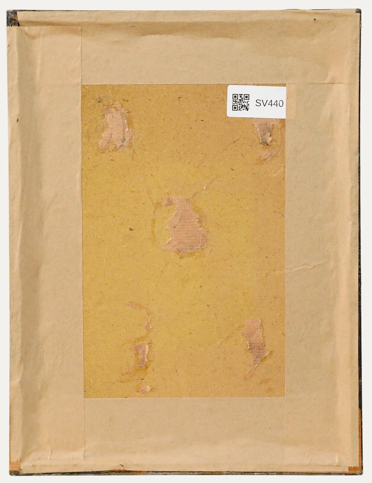 Clare Leighton (1898 1989) Mid 20th Century Woodcut, Berries photo for sale