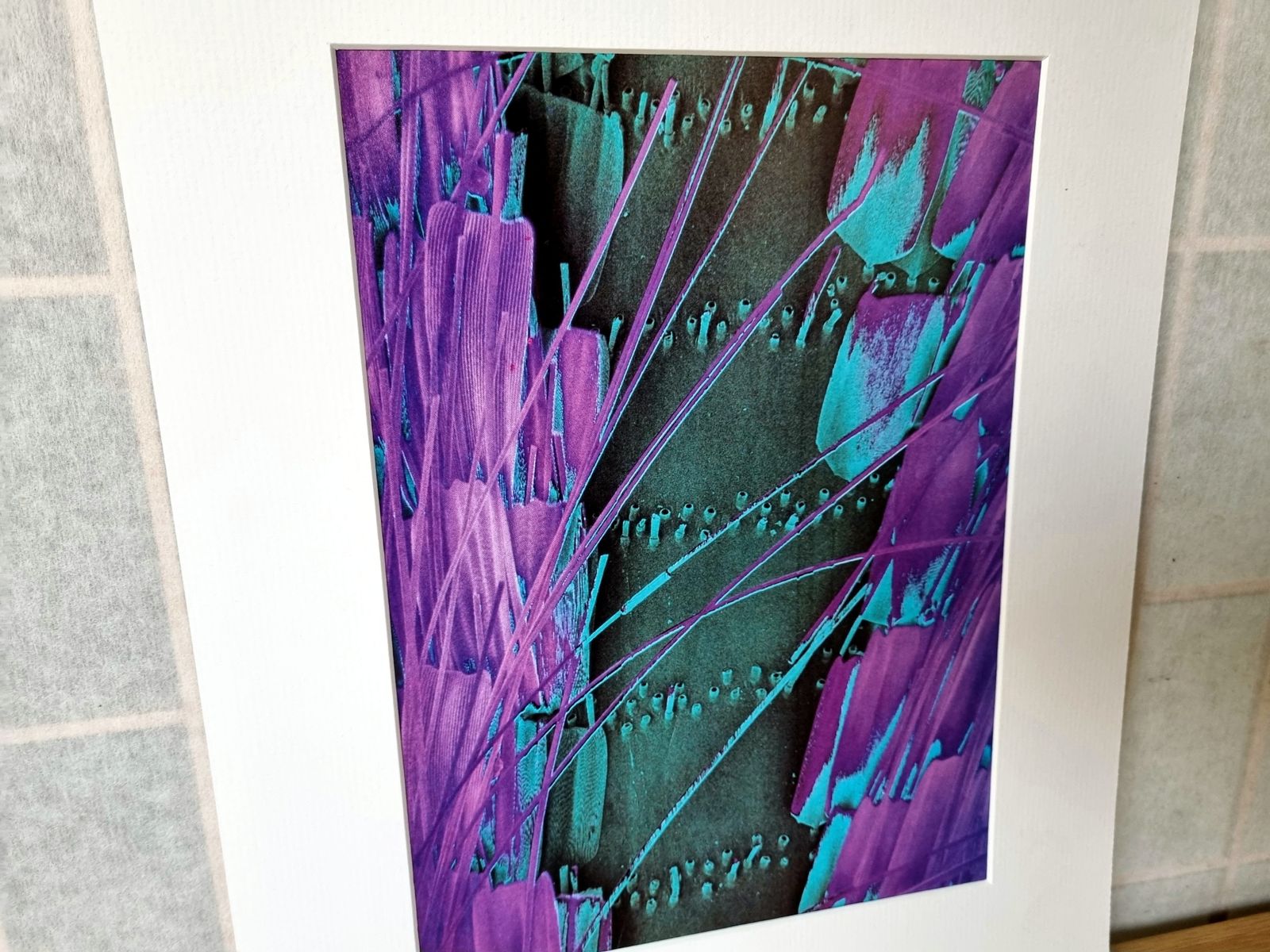 70s Scientific Art Exhibit Print Ad, Butterfly Wing Micrograph Image, Abstract Modern Wall Art, Museum Style Mounted Print photo furniture