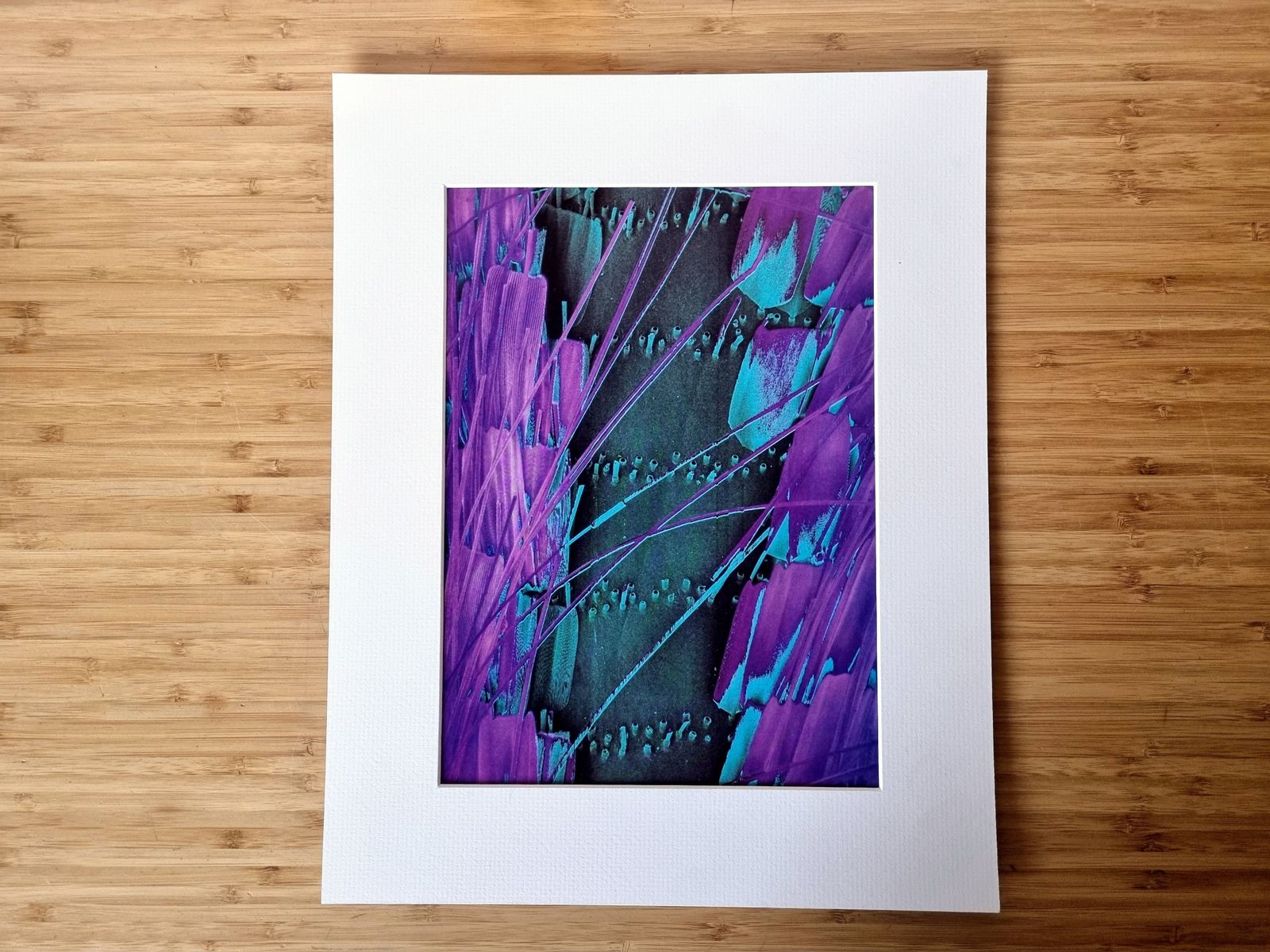 70s Scientific Art Exhibit Print Ad, Butterfly Wing Micrograph Image, Abstract Modern Wall Art, Museum Style Mounted Print photo for sale