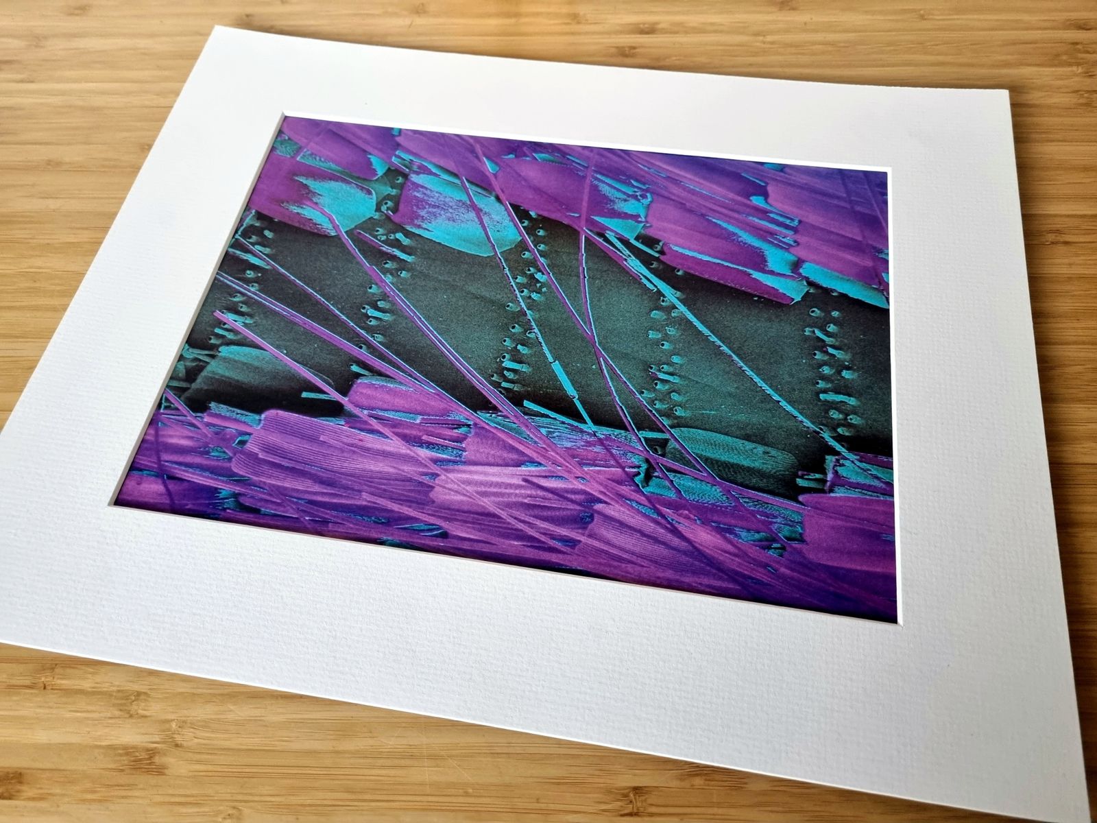 70s Scientific Art Exhibit Print Ad, Butterfly Wing Micrograph Image, Abstract Modern Wall Art, Museum Style Mounted Print photo 65.0