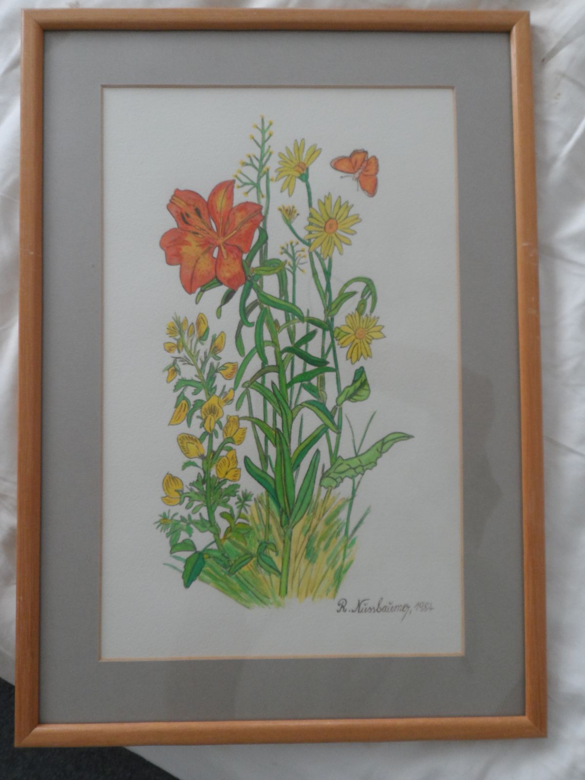 3x Vintage 1980s Signed And Framed Watercolours Of Wild Flowers By R Nussbaumer photo 125.0