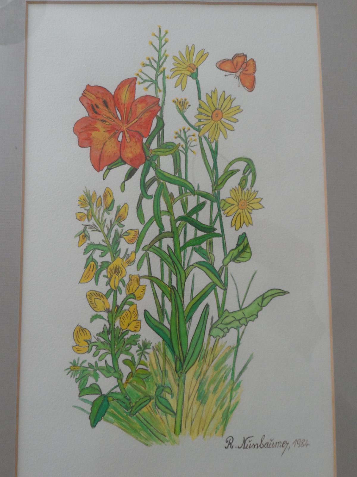 3x Vintage 1980s Signed And Framed Watercolours Of Wild Flowers By R Nussbaumer photo vinterior