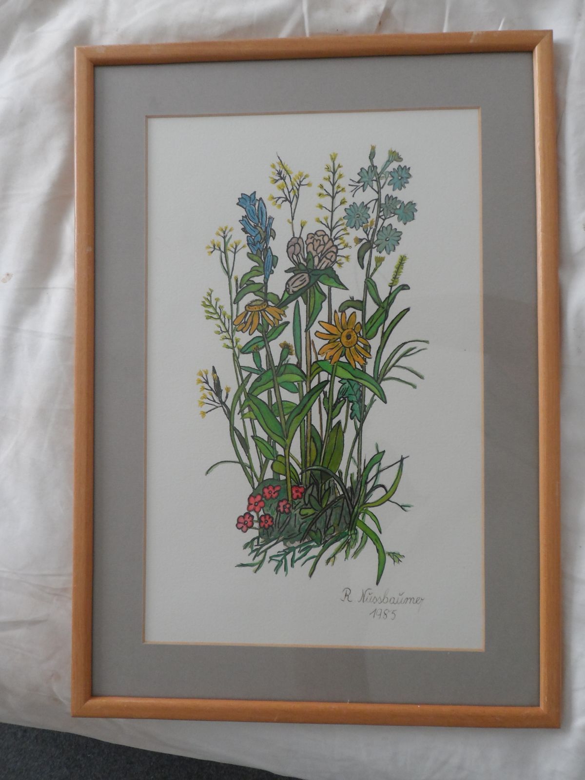 3x Vintage 1980s Signed And Framed Watercolours Of Wild Flowers By R Nussbaumer photo vintage