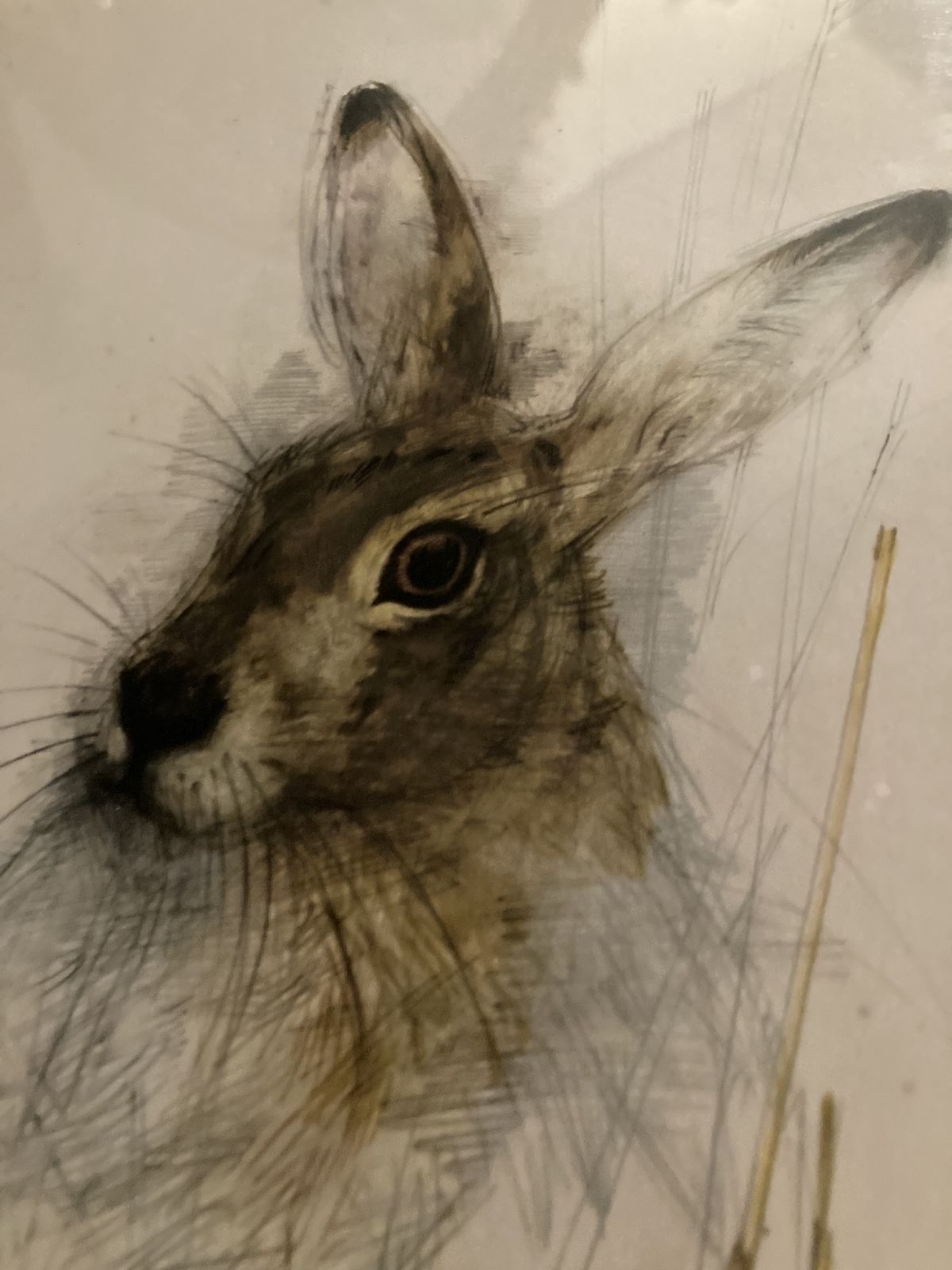 Print Of A Hare By The Acclaimed Danish Artist And Illustrator Mads Stage photo Art