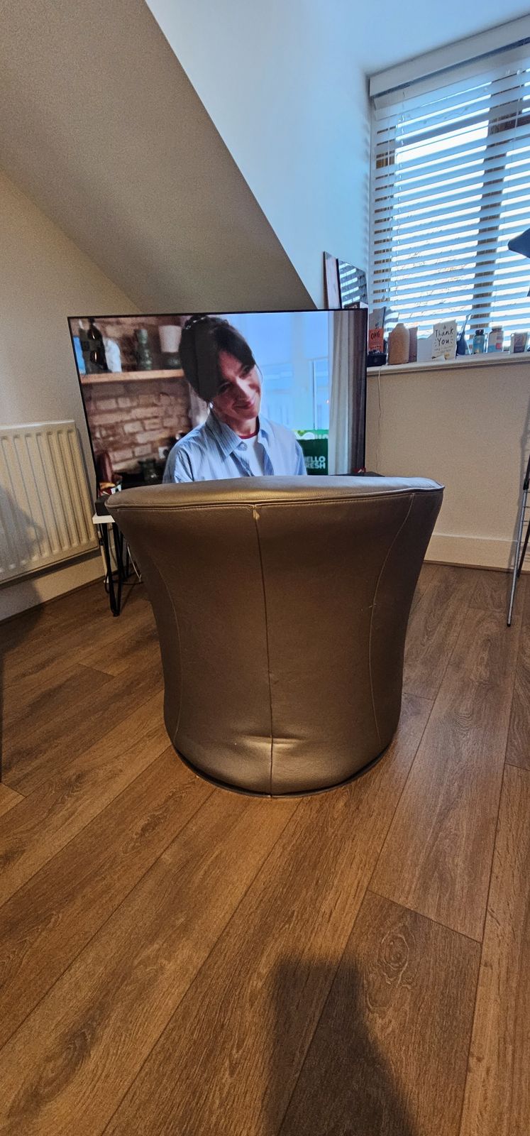 Natuzzi Liz Armchair Metalic Leather photo Furniture