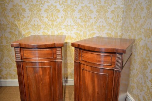 A Pair Of Regency Mahogany Pedestal Cabinets photo 1195.0
