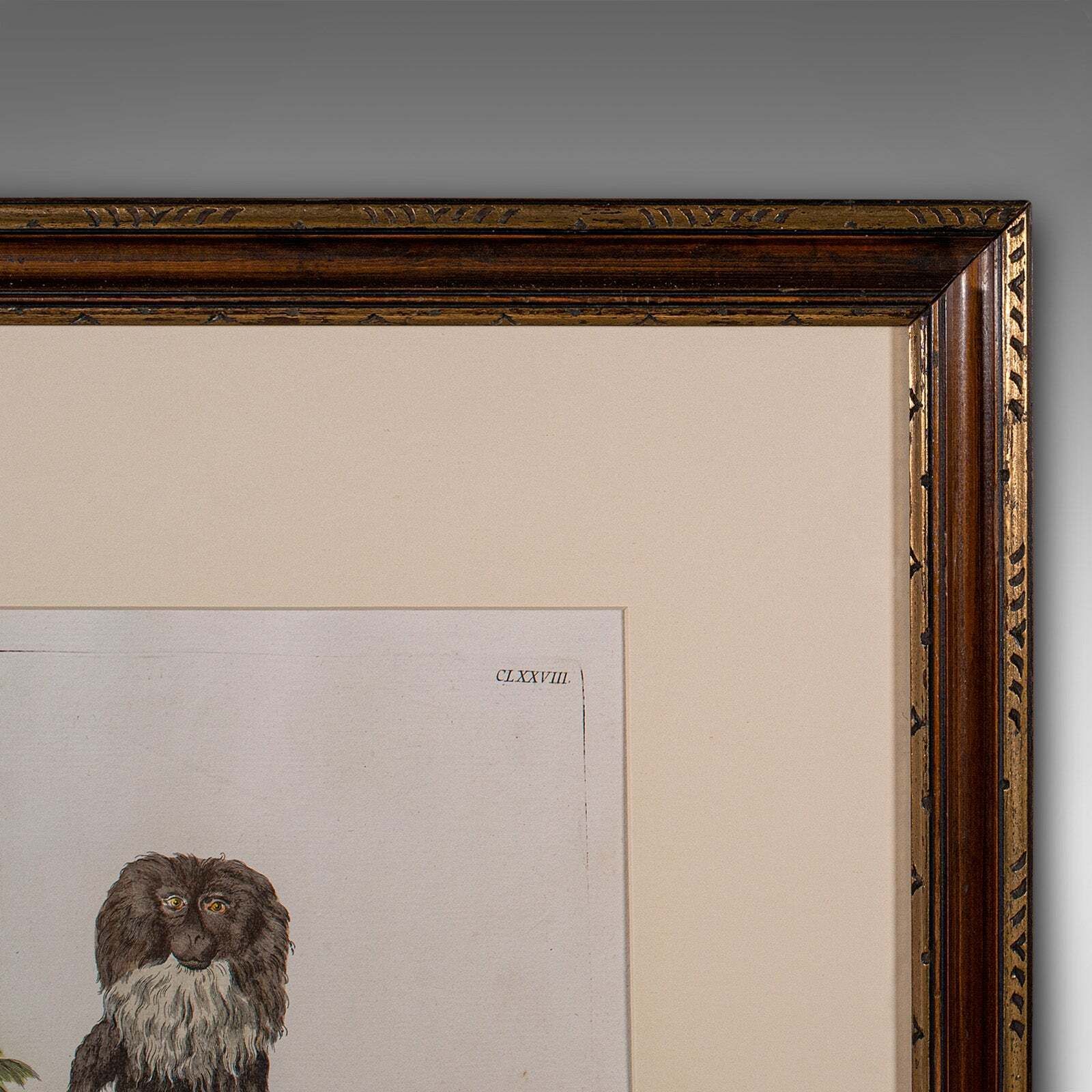 Pair Of Antique Animal Portraits, French, Framed Pictures, Natural Art, Georgian photo buy