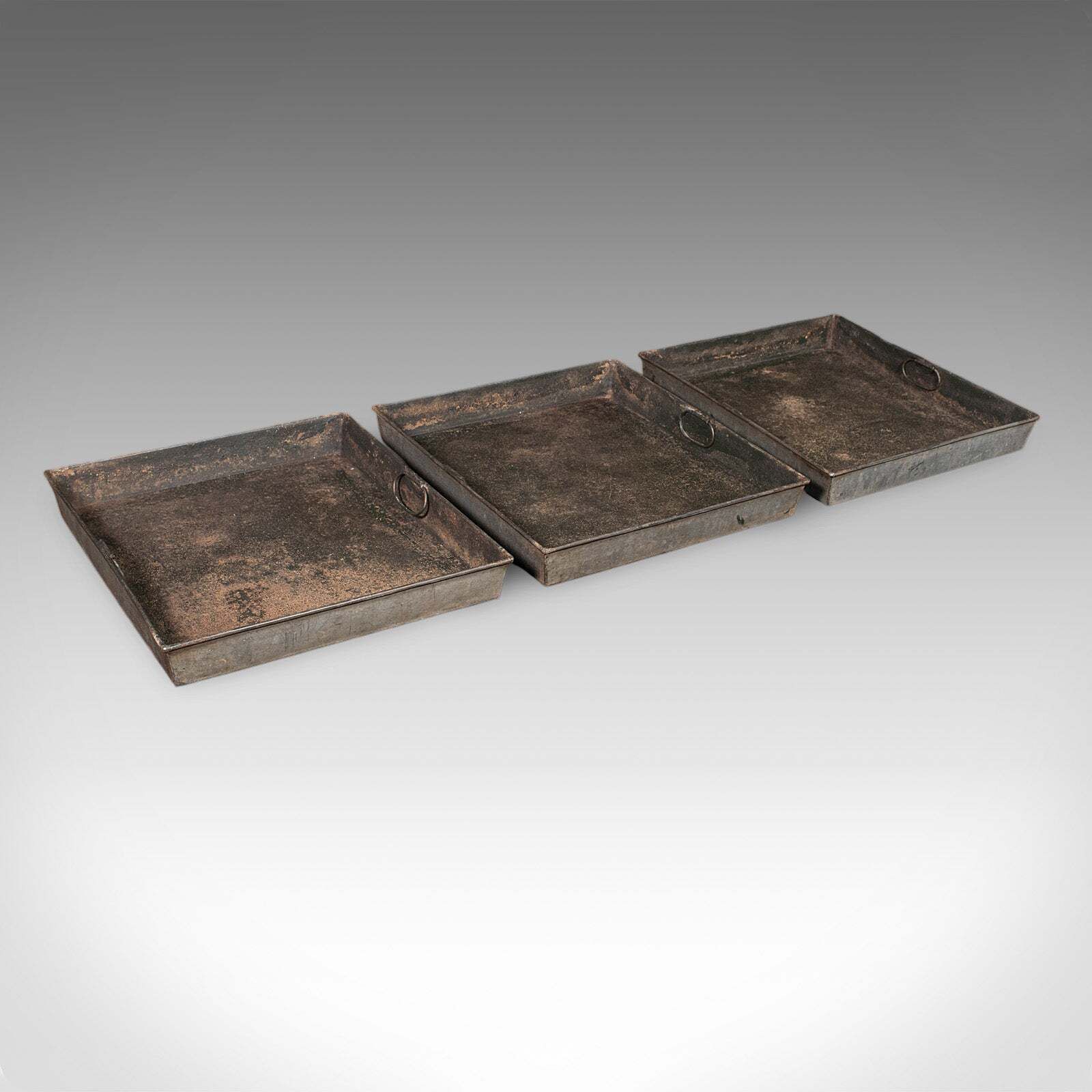 photo for sale Antique Country House Umbrella Stand, English, 24 Division, Hall Rack, Victorian