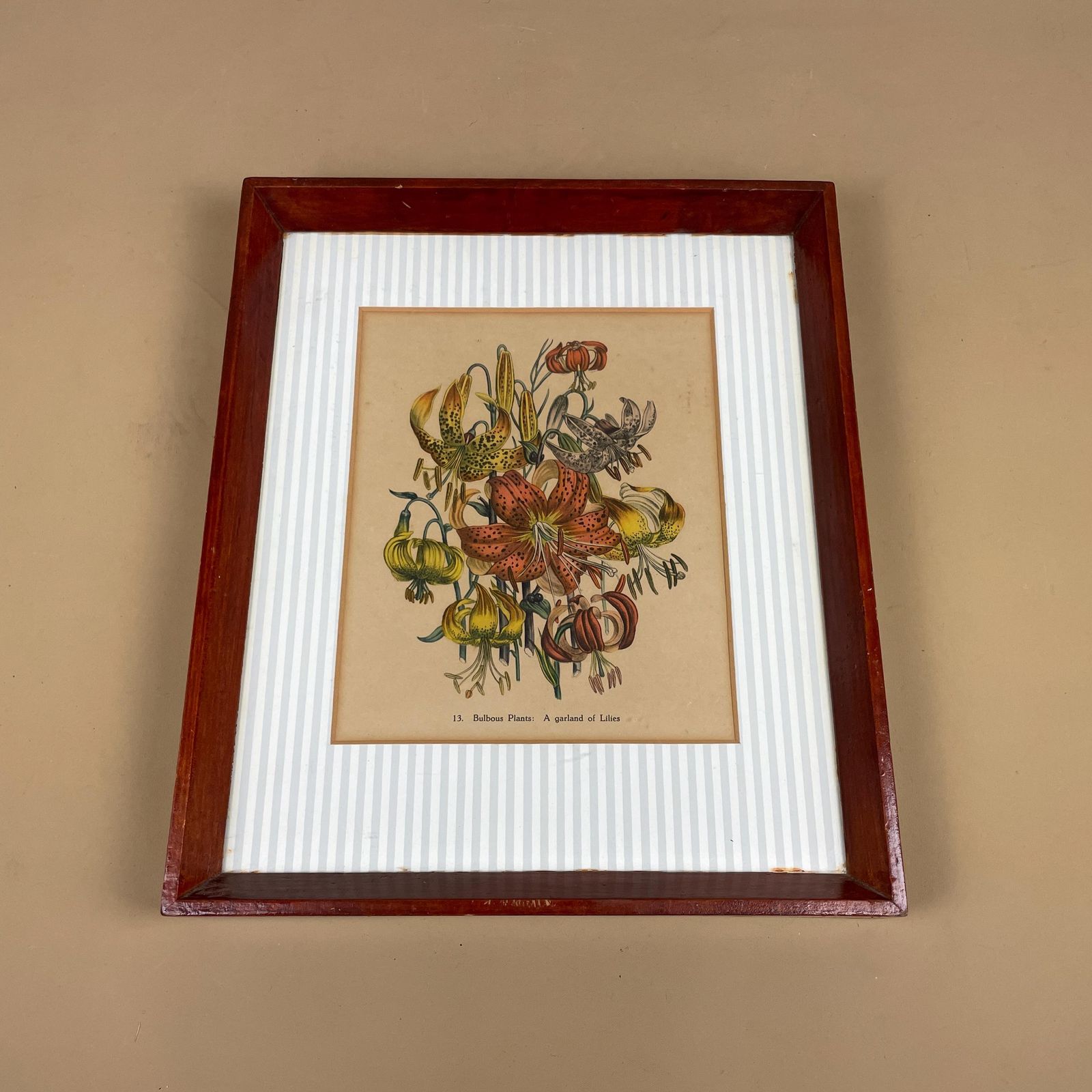 Antique Botanical Lily Print Framed Victorian Chromolithograph Floral Wall Art Picture Bulbous Plants: A Garland Of Lilies Wooden Frame
