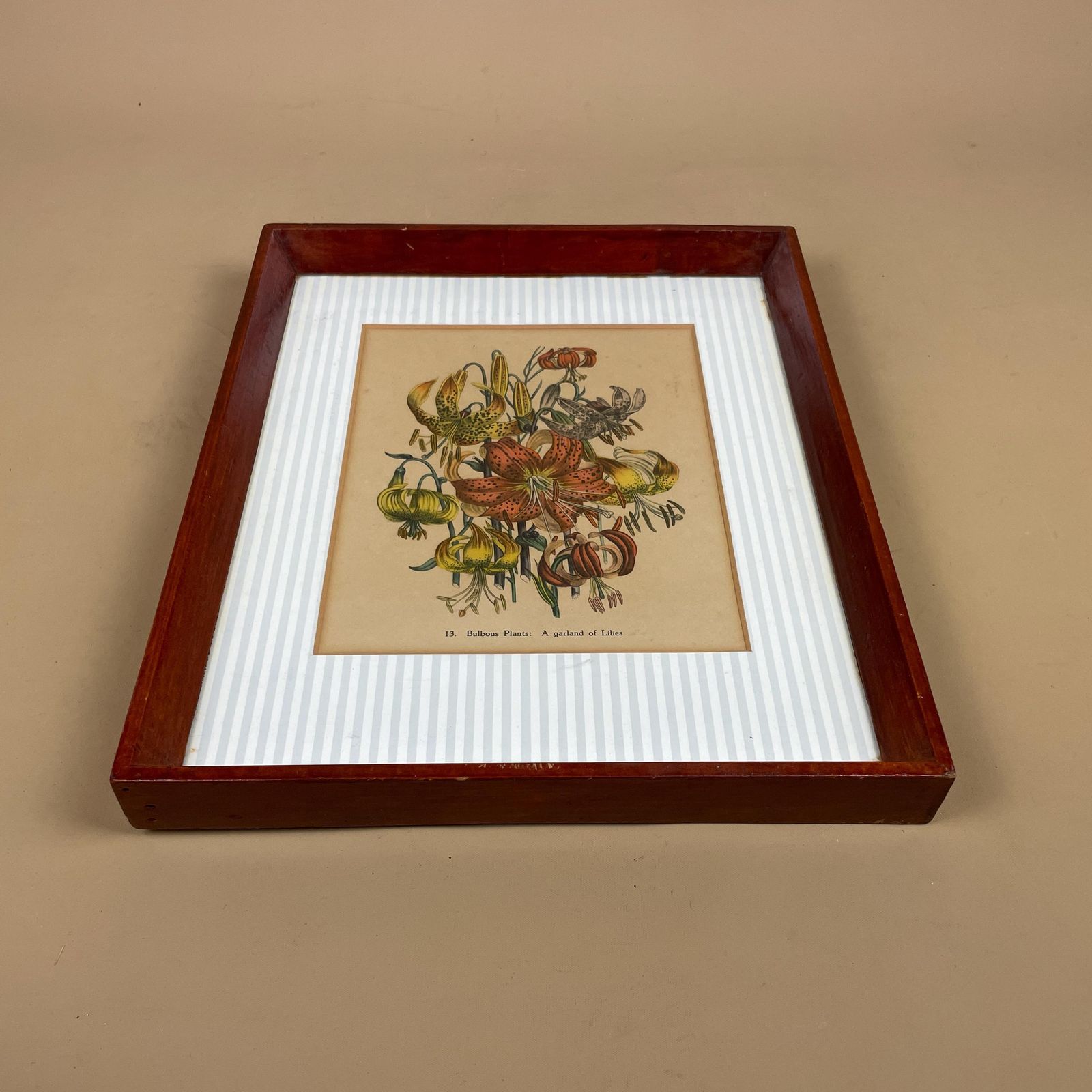 Antique Botanical Lily Print Framed Victorian Chromolithograph Floral Wall Art Picture Bulbous Plants: A Garland Of Lilies Wooden Frame photo for sale