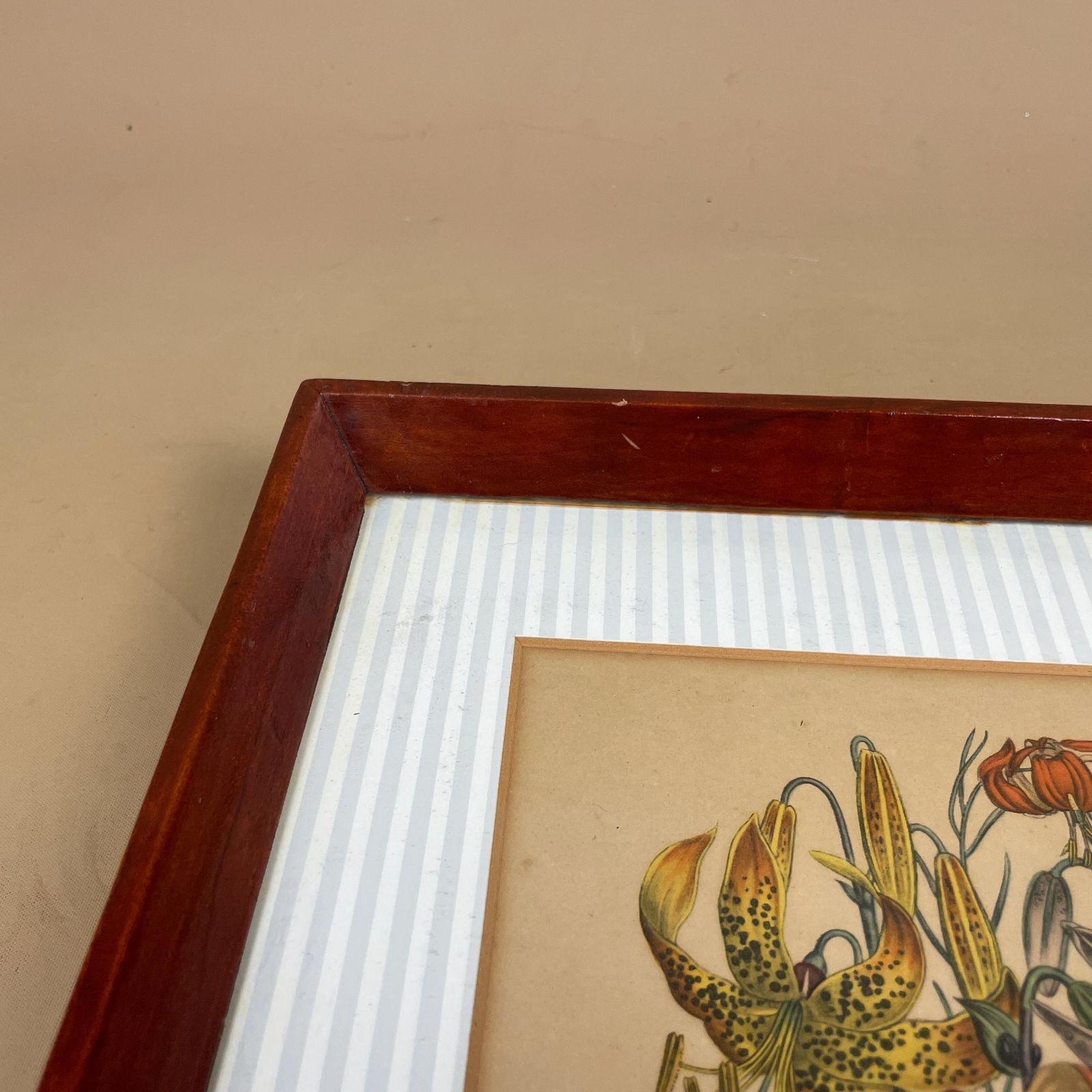Antique Botanical Lily Print Framed Victorian Chromolithograph Floral Wall Art Picture Bulbous Plants: A Garland Of Lilies Wooden Frame photo buy