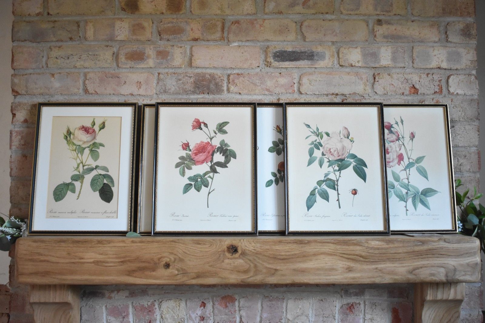 Vintage Set Of 6 Black Framed Rose Prints Flower Aged Wooden Frame Gallery Wall photo vintage