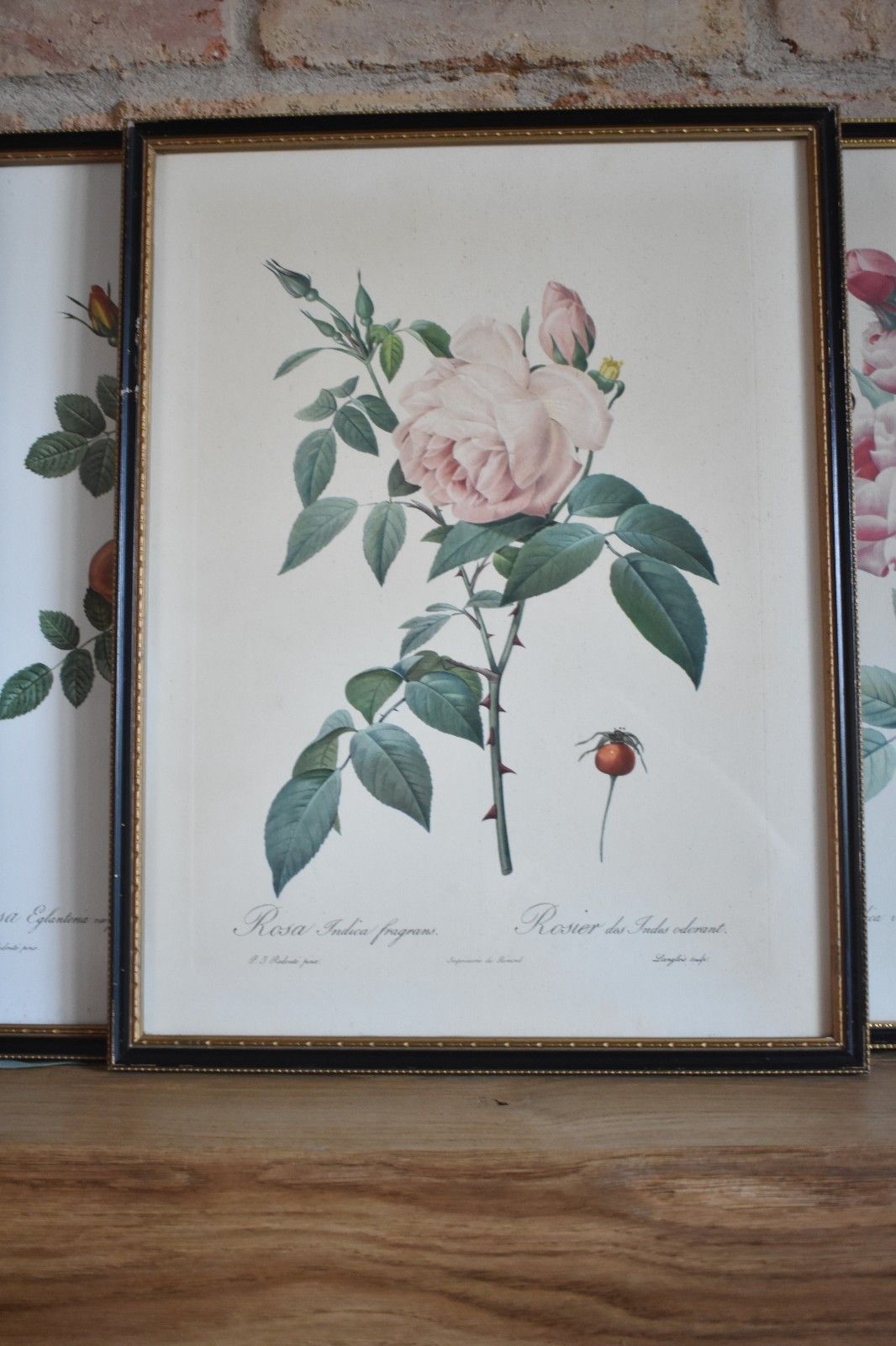 photo furniture Vintage Set Of 6 Black Framed Rose Prints Flower Aged Wooden Frame Gallery Wall