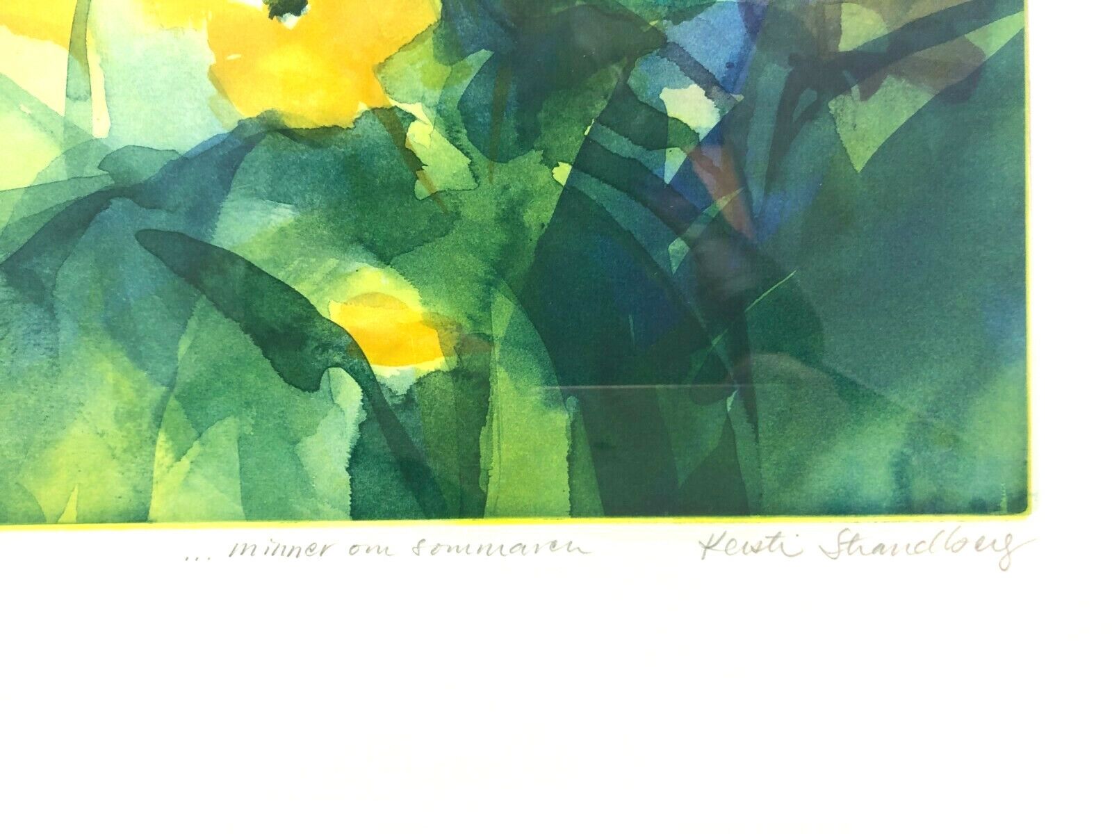 Lithography Floral, By Kersti Strandberg "Reminiscent Of Summer" Original Print photo Art