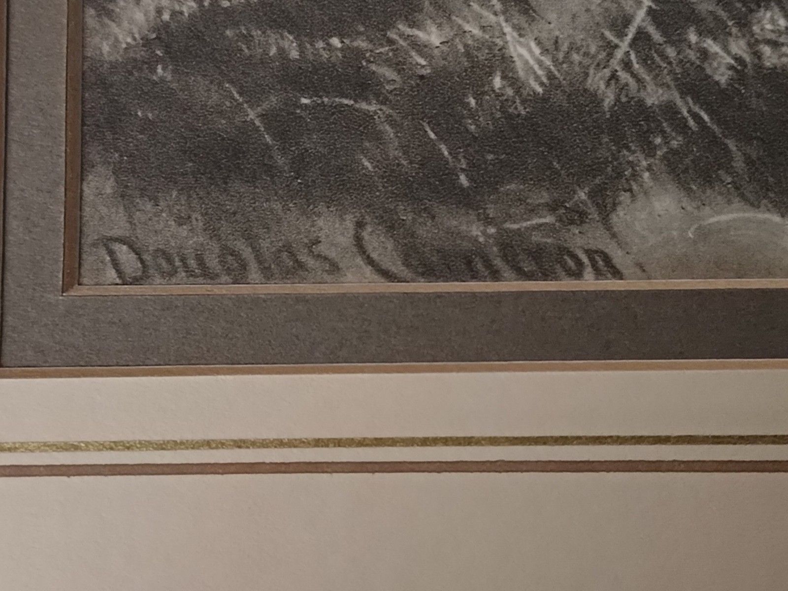Antique Intaglio Print 'A Glint In The Storm' By Douglas Cameron Highland Cows photo buy