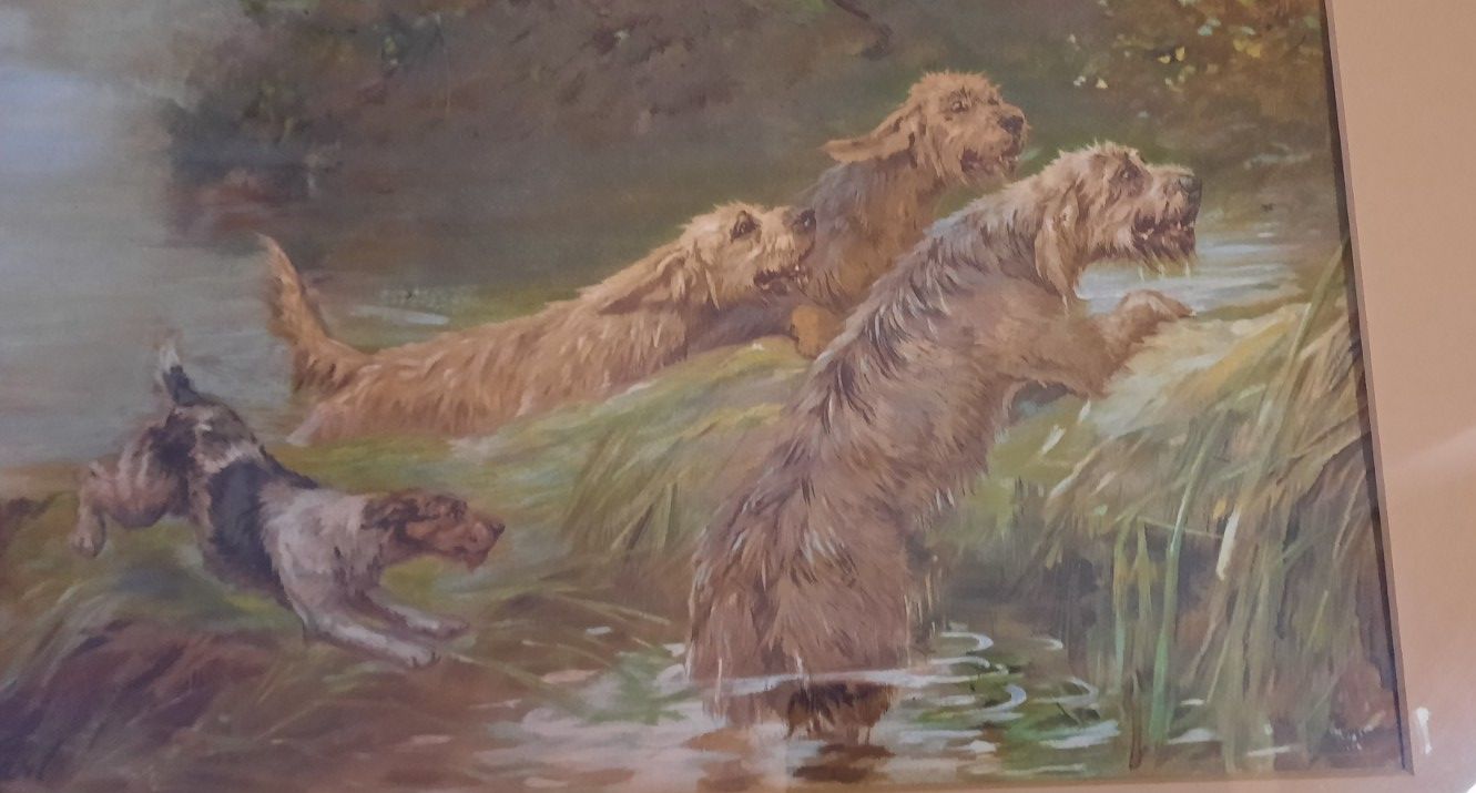 Vintage Framed And Glazed Art The Last Rush Otterhound Dogs Signed By Maud Earl photo for sale