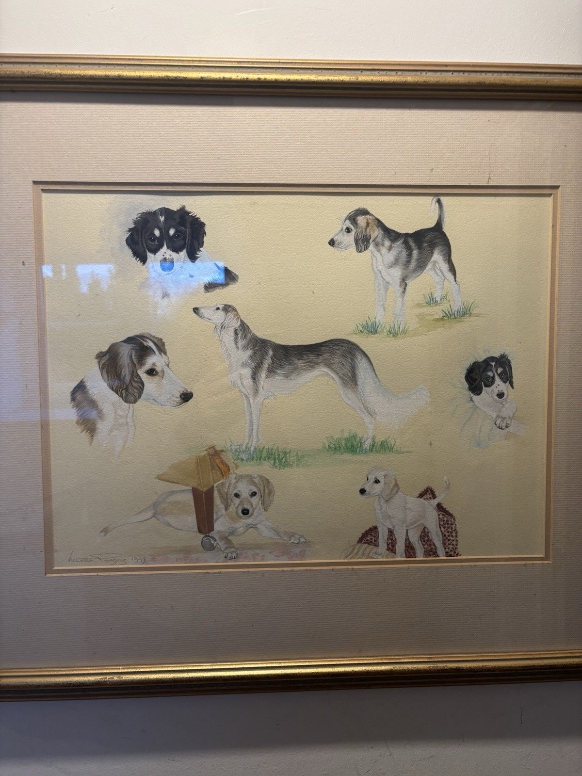 photo for sale Vintage Framed Watercolour Various  Dogs Signed Victoria Parsons 1993