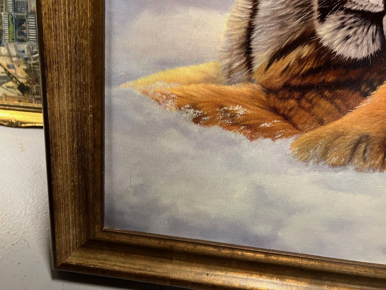 Ltd Print Of Tiger Cubs By Johnathon Truss 8/75 photo vintage