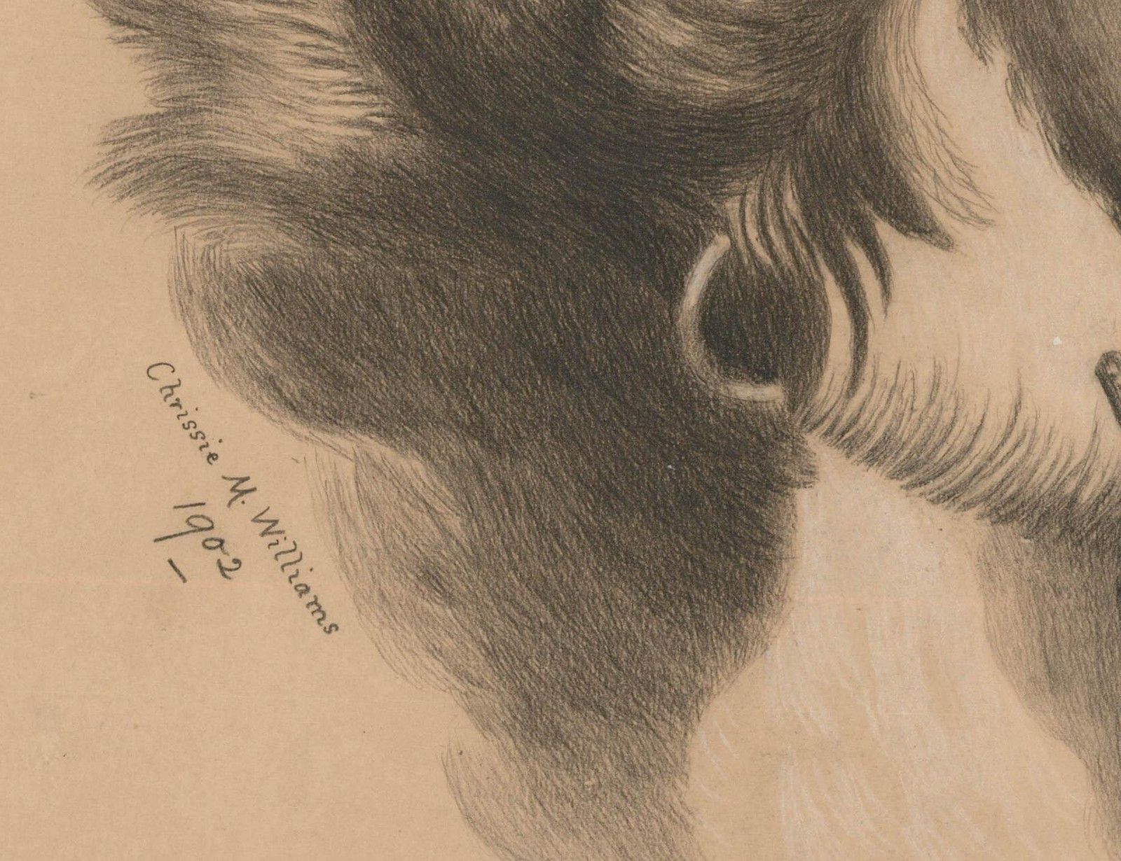 Chrissie M. Williams 1902 Coloured Pencil, Dog With A Bird photo Art