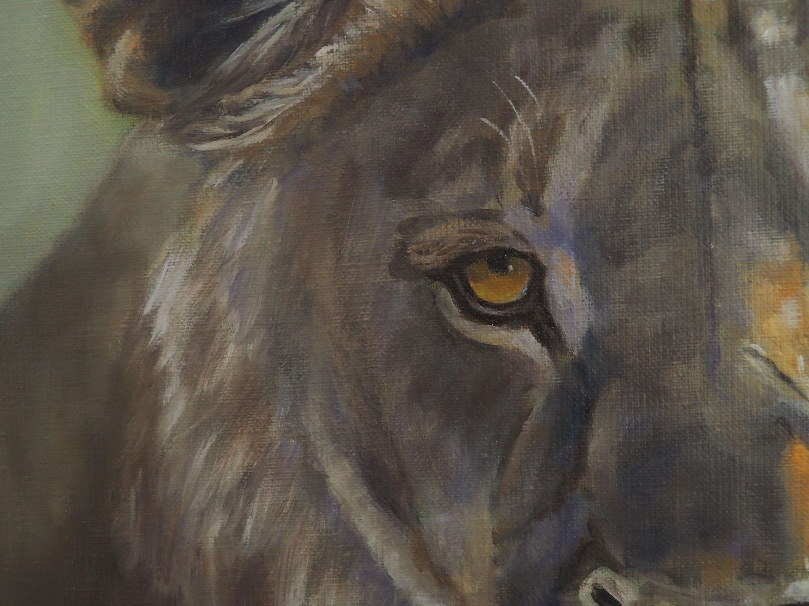 Sylvie Ajacques Young Lion Oil On Canvas By Sylvie Ajacques2025 photo Art