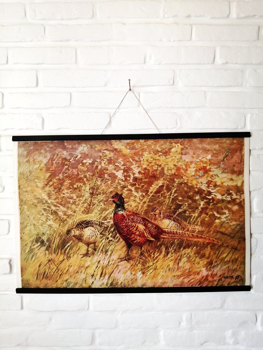 Poster Met Fazant, Ca. Jaren 1950 photo 181.0