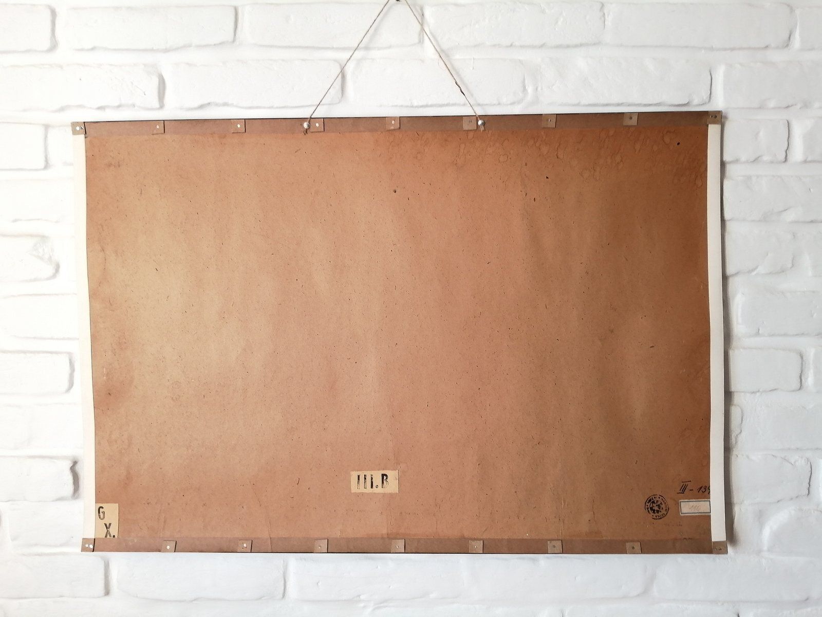 Poster Met Fazant, Ca. Jaren 1950 photo vinterior
