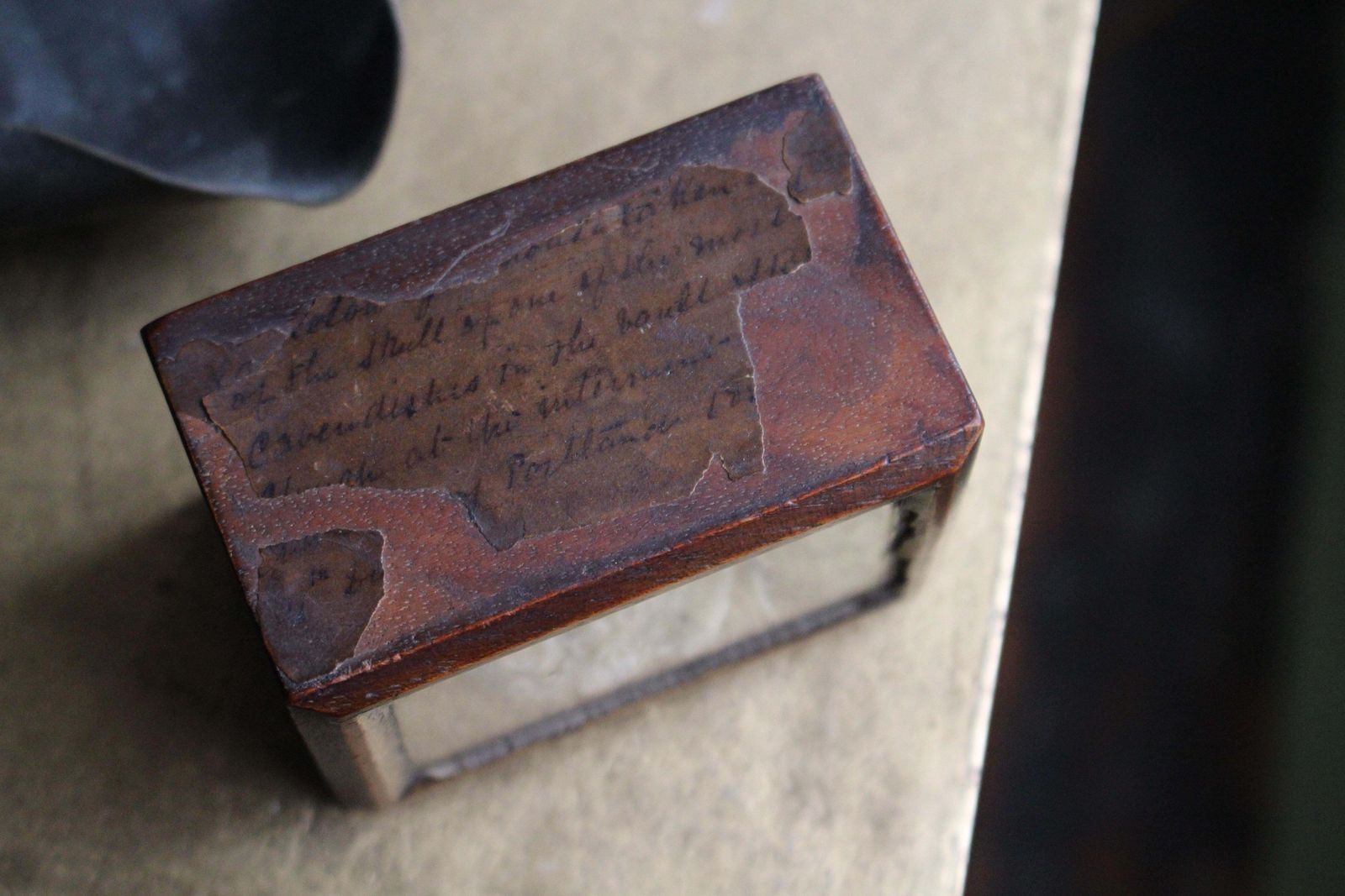 3775.0 19th C Mouse Curiosity Cavendish Tomb Taxidermy William Bentinck Prime Minister photo