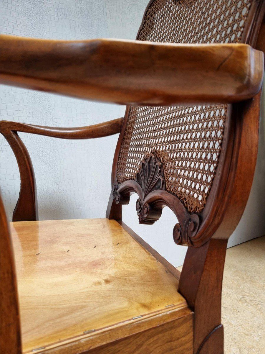 photo buy Chippendale Bergere Armchair In Carved Mahogany With Caned Backrest And Lion's Claw And Ball