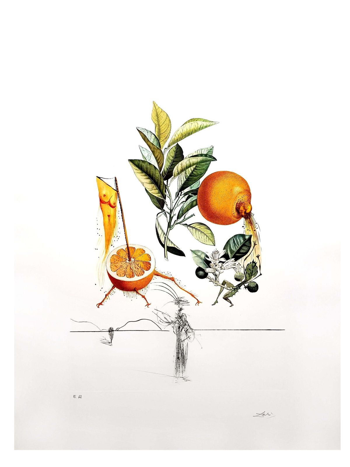 Salvador Dalí­Salvador Dali   Erotic Grapefruit   Original Hand Signed Lithograph1969 photo furniture