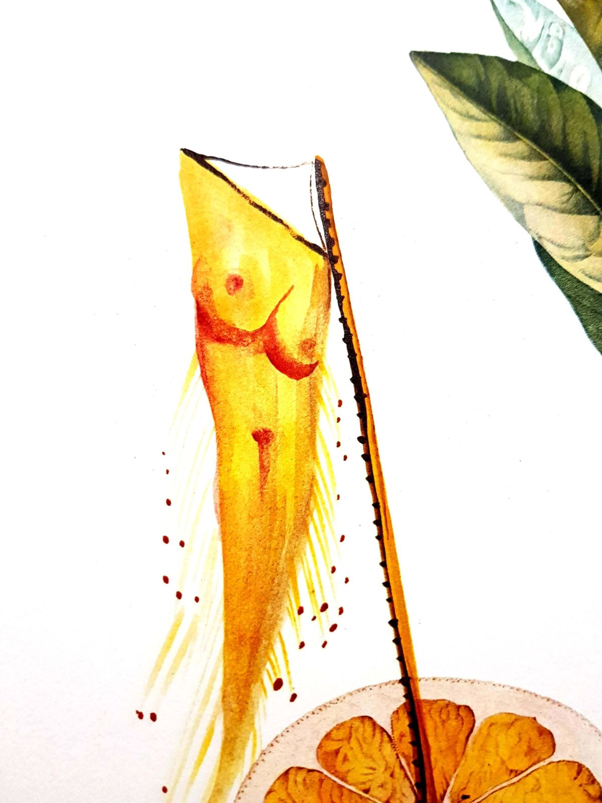 photo vinterior Salvador Dalí­Salvador Dali   Erotic Grapefruit   Original Hand Signed Lithograph1969