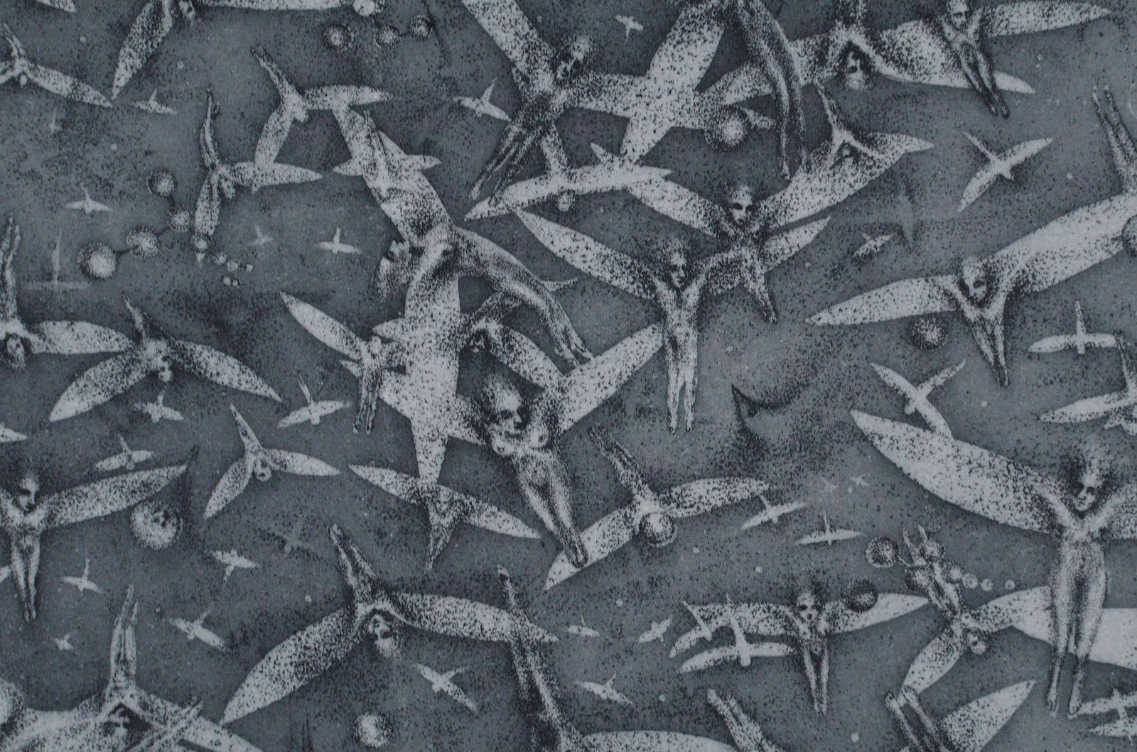 Nele Zirniteporioheresis. 2004. Paper, Etching, 49.5x51.5 Cm2004 photo vinterior