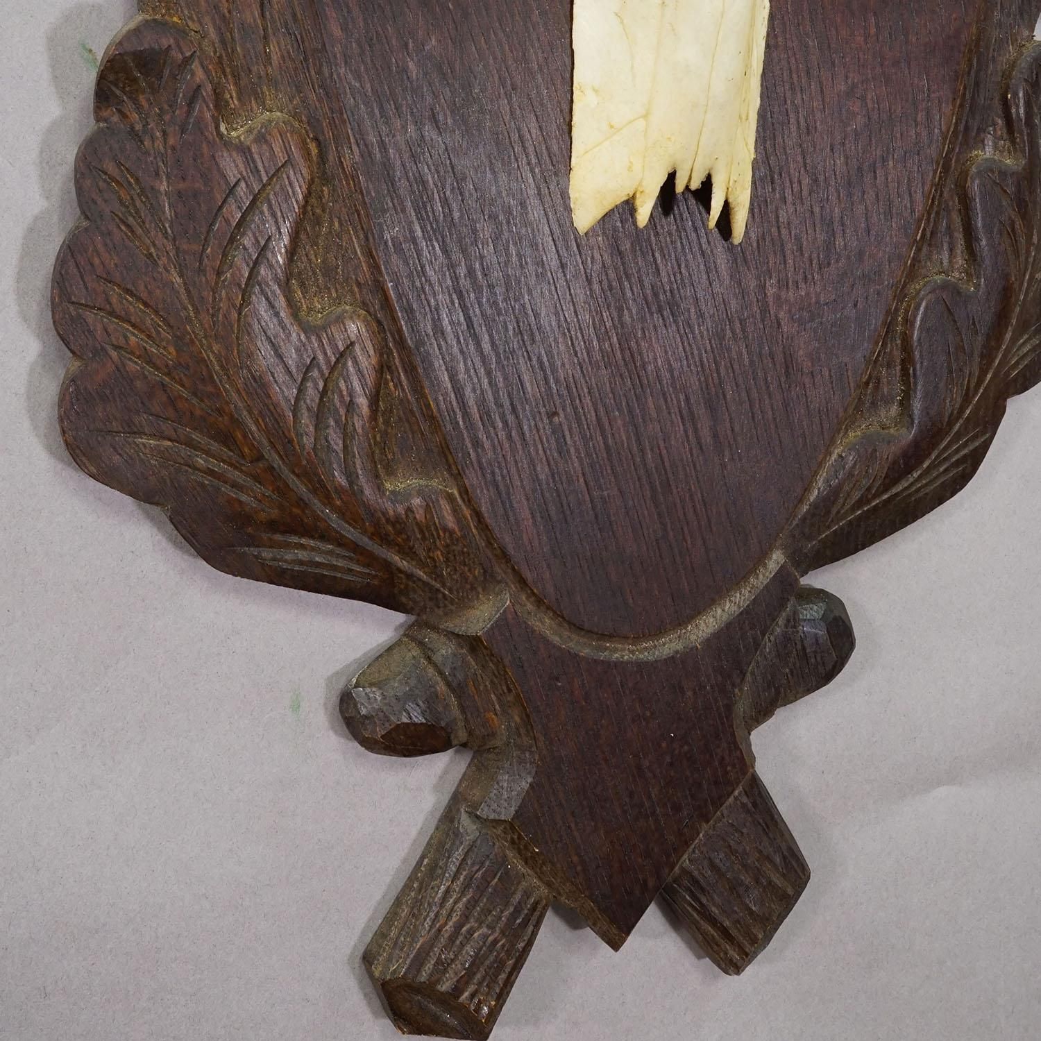 Large Black Forest Red Deer Trophy On Carved Plaque   Germany Ca. 1935 photo buy