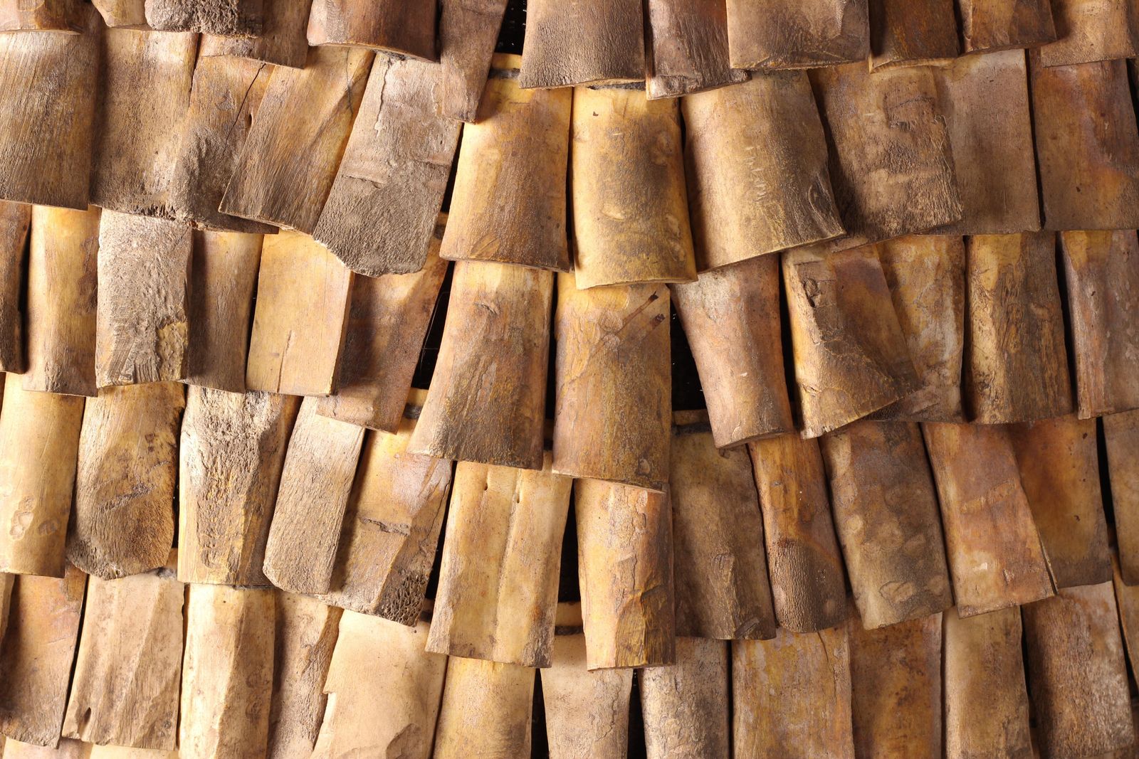 photo buy Indonesian Wild Boar Hunting Vest, Carved Bone Armour, Lombok, Mid 20th Cent