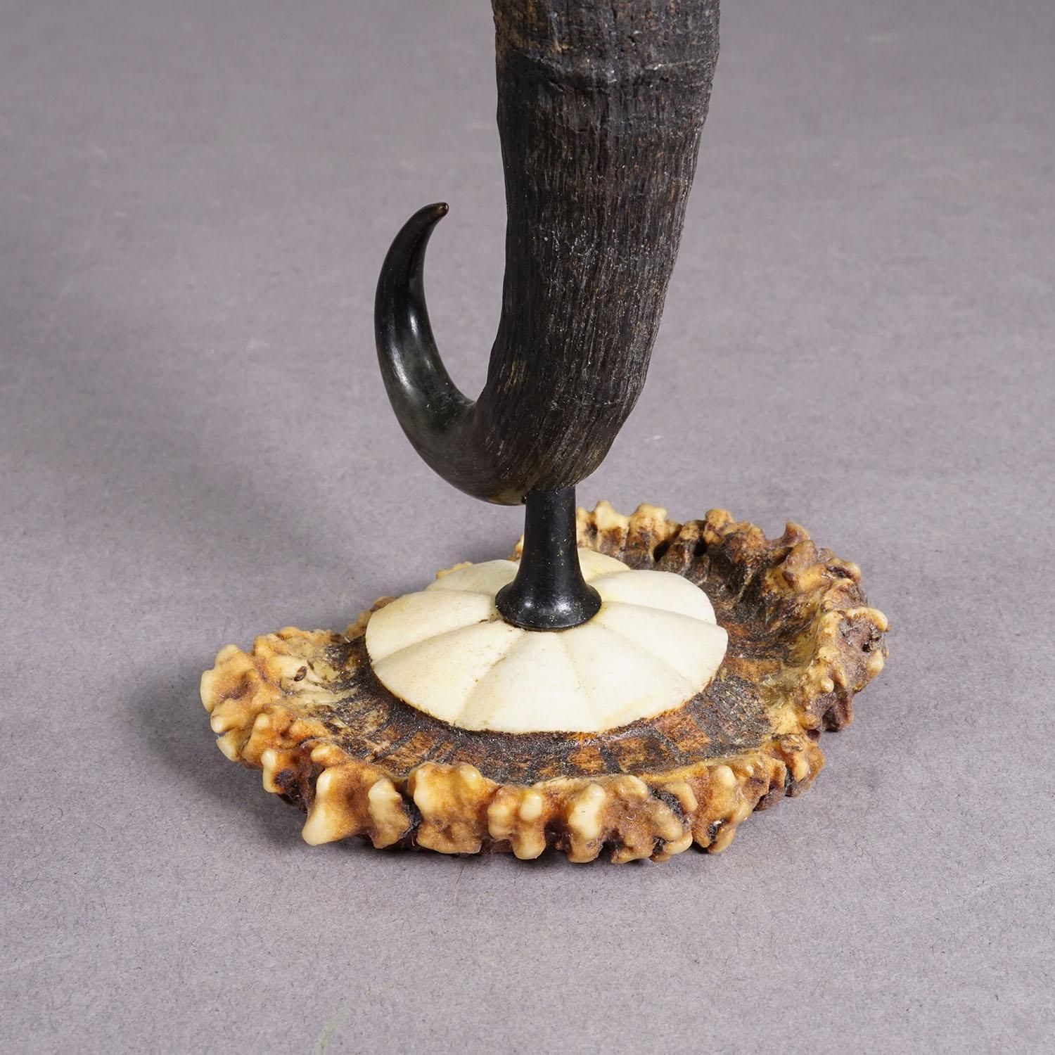 Antique Candle Stick With Real Chamois Horn, Circa 1900s photo Home Decor