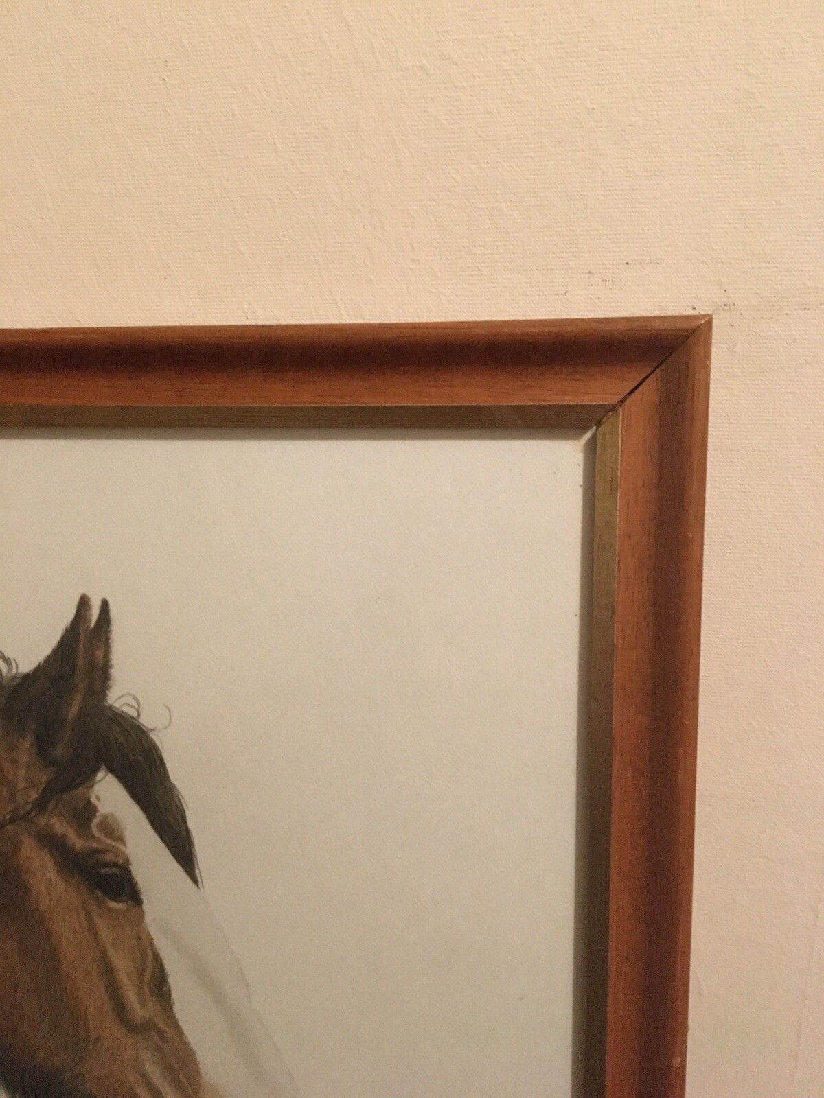 Vintage Original Watercolour Painting Shire Horse 1979 Adrienne Walsh Equestrian photo 94.0
