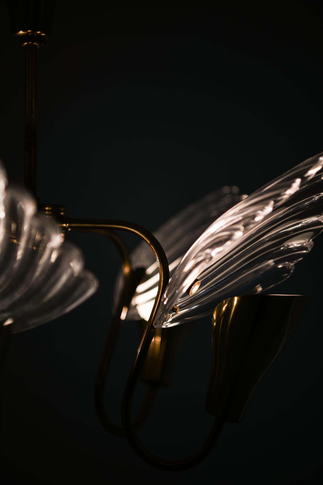 Ceiling Lamp With Five Gracefully Curved Brass Arms By Carl Fagerlund, 1950s photo vintage