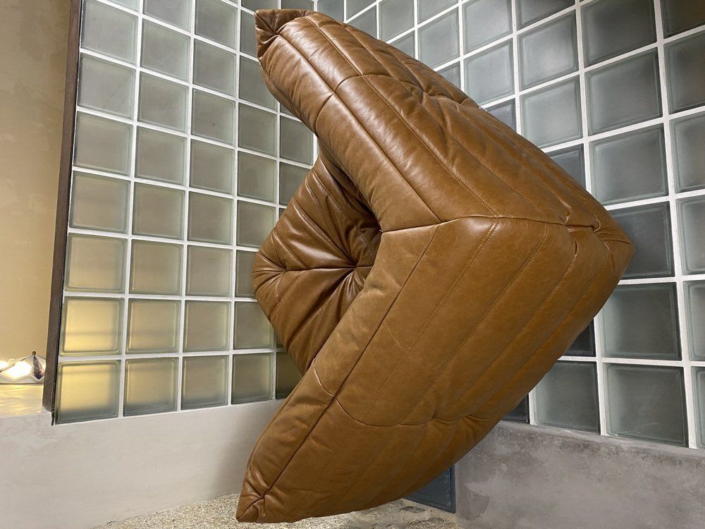 Brown Leather Togo Sofa Set By Michel Ducaroy For Ligne Roset, Set Of 5 photo vintage