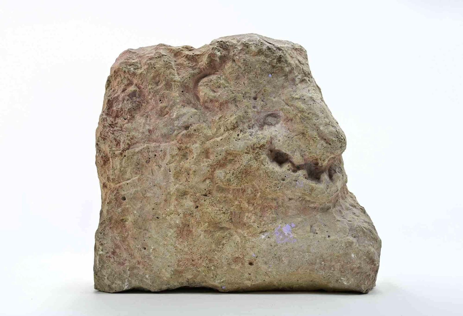 Sirio Pellegrinihead Of Animal   Sculpture By Sirio Pellegrini   1960s1960s