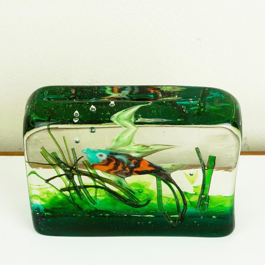 Murano Glass Aquarium By Riccardo Licata For Gino Cenedese, Italy 1960s photo Home Decor