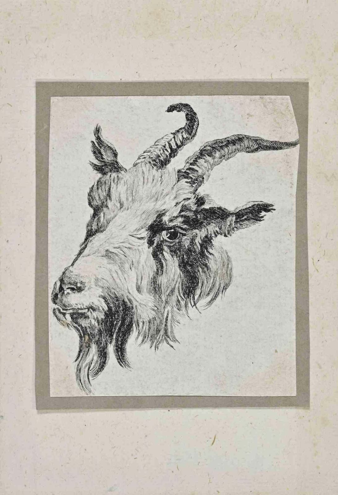 Nicolaes Pieterszoon Berghemgoat   Etching By Nicolaes Pieterszoon Berghem   17th Century17th Century