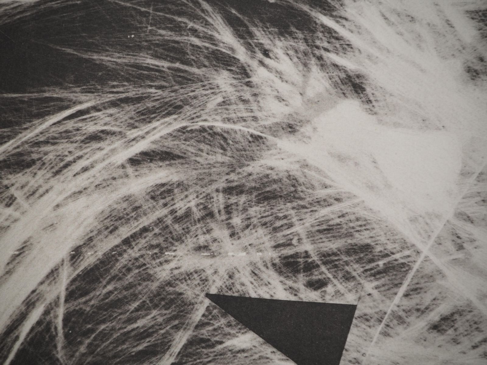 Pablo Picassodiurnes: Werewolf (On Fire)   Original Collotype And Stencil (Cramer #115)1962 photo 295.0