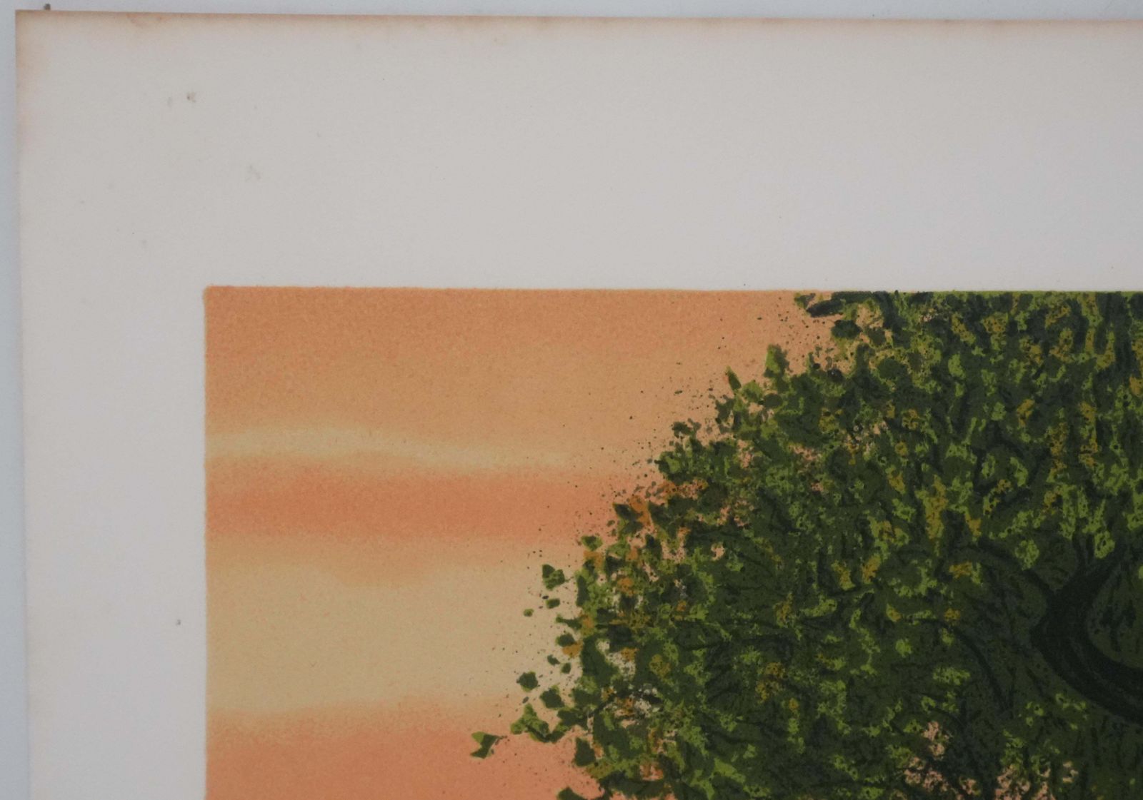 photo furniture Yves Gannein The Poppy Field   Original Lithograph Signed